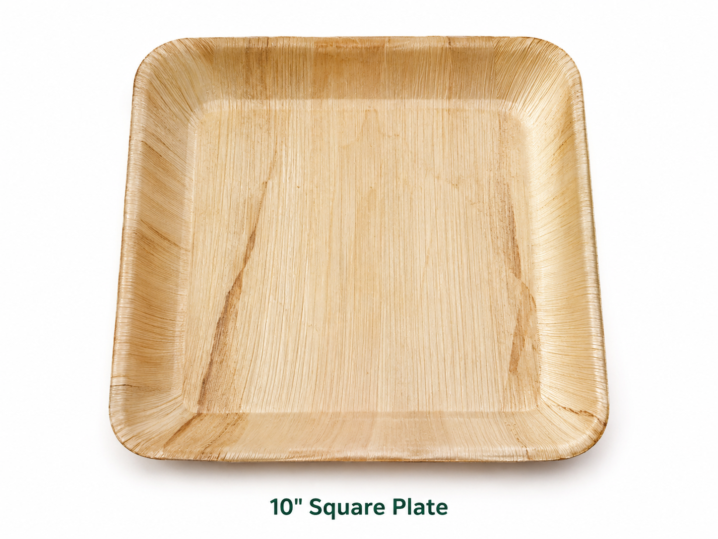 Areca Leaf 10 Inch Square Plate